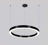 Full Ring Shape Customized Profile Hanging Light